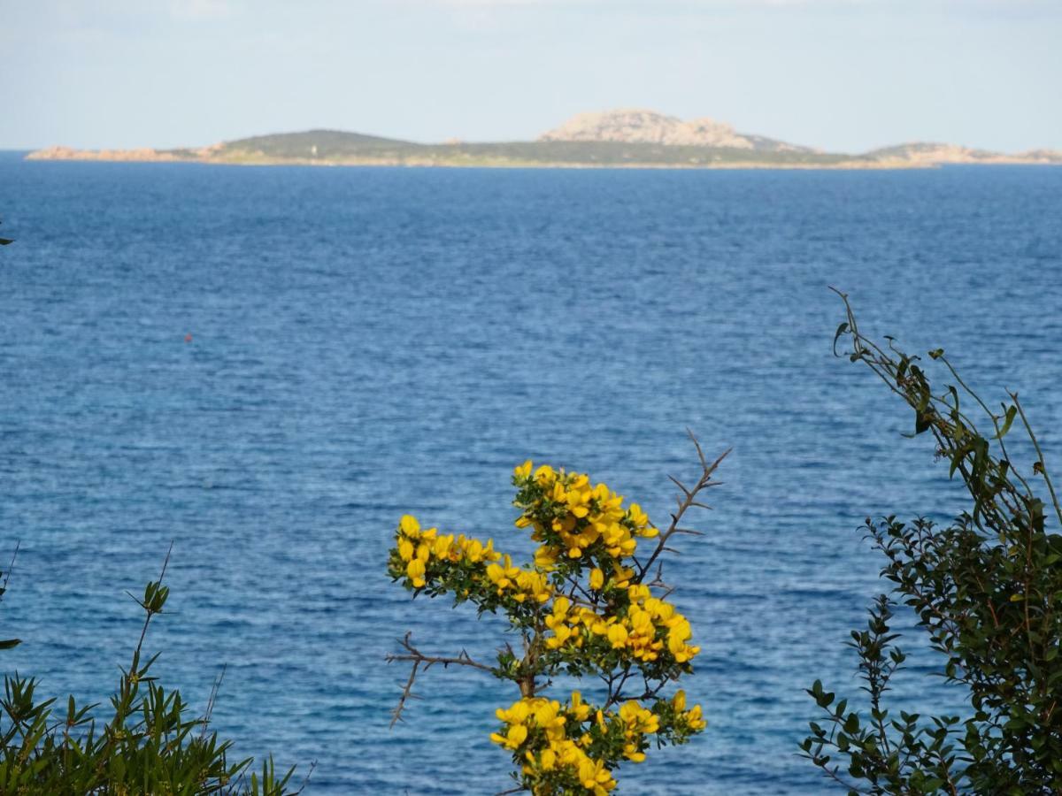 Appartamento I Ginepri Portisco Dış mekan fotoğraf