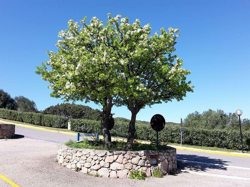 Appartamento I Ginepri Portisco Dış mekan fotoğraf