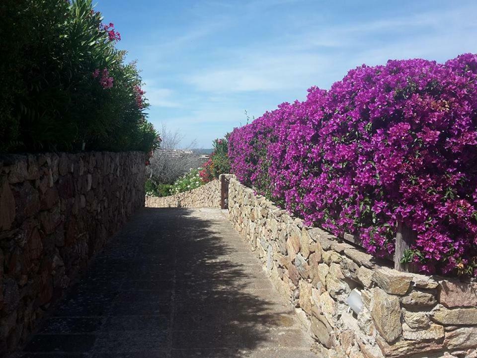 Appartamento I Ginepri Portisco Dış mekan fotoğraf